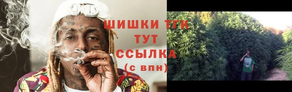крисы Рославль