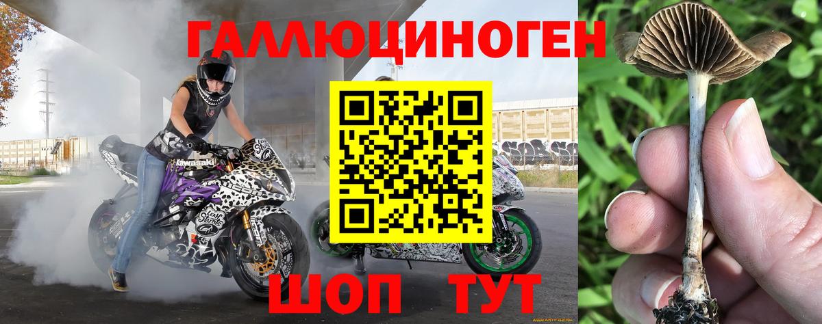 Псилоцибиновые грибы мицелий Котовск